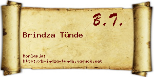 Brindza Tünde névjegykártya