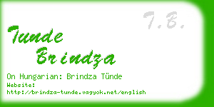 tunde brindza business card